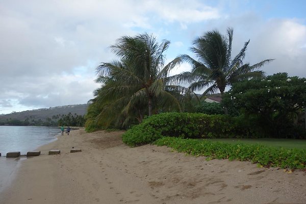 th DSC07308 th DSC07308