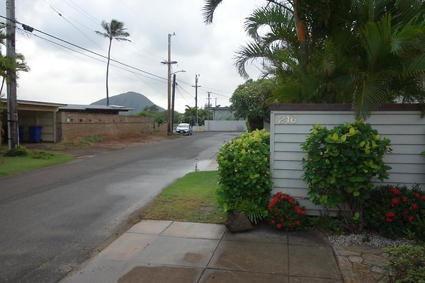 th DSC07278 th DSC07278