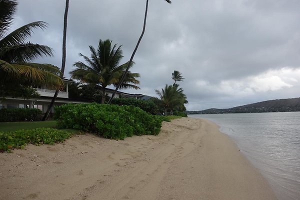 th DSC07310 th DSC07310