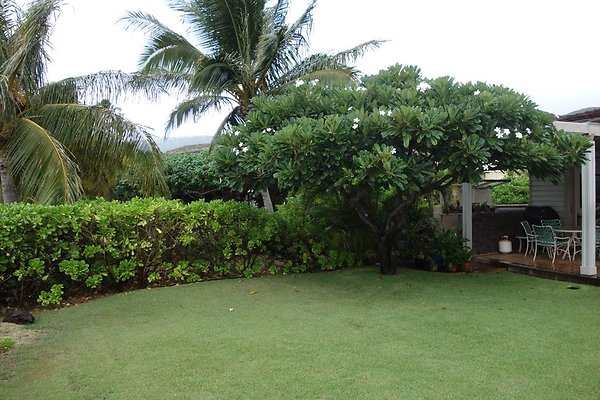 th DSC07305 th DSC07305