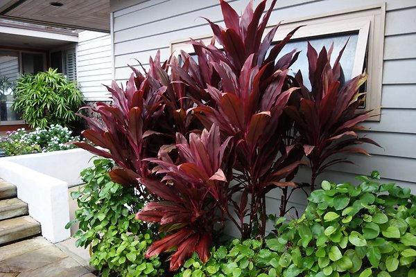 th DSC07282 th DSC07282