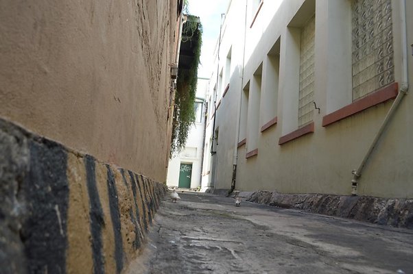 Lai Fong Alley Lai Fong Alley