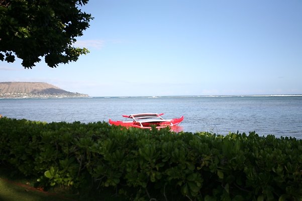 th AINAHAINA CASSIDAY 6776 th AINAHAINA CASSIDAY 6776