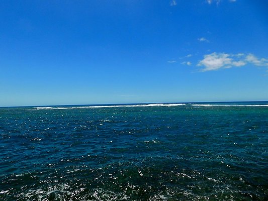 th DSCN4132 th DSCN4132