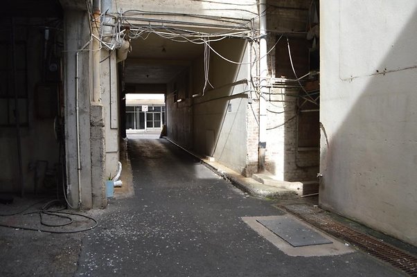 th DSC 0857 th DSC 0857