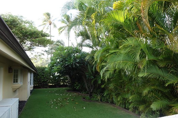 Aina Haina 1054 Kaimoku Pl Jane 808.282.1406 Aina Haina 1054 Kaimoku Pl Jane 808.282.1406