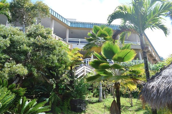 Aina Haina 2500 Aha Aina Pl Cully 807.927.4337 Aina Haina 2500 Aha Aina Pl Cully 807.927.4337