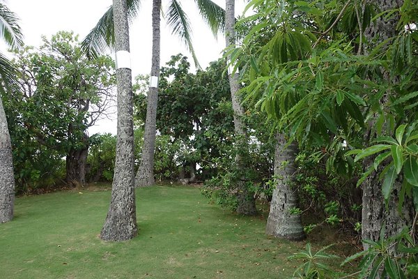 th DSC07134 th DSC07134