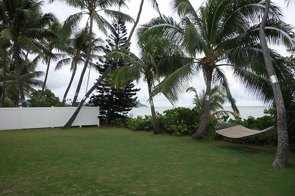 th DSC07133 th DSC07133