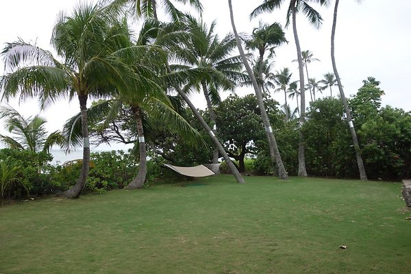 th DSC07130 th DSC07130