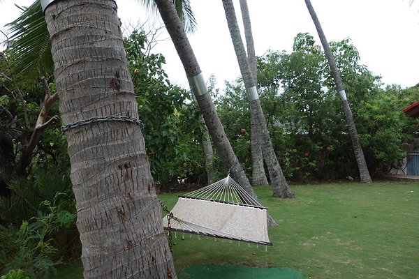 th DSC07135 th DSC07135