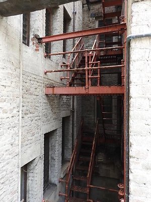 th DSCN5231 th DSCN5231