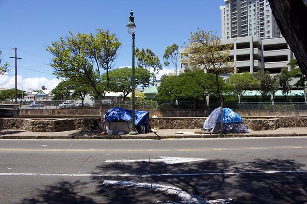 th IMG 3167 th IMG 3167