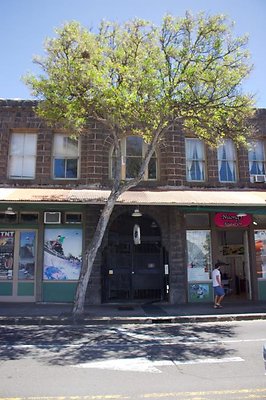 th IMG 3158 th IMG 3158