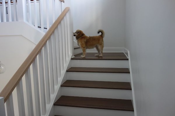 th DSC07537 th DSC07537