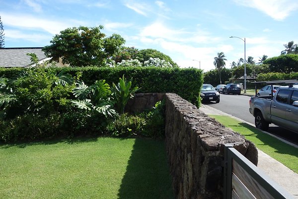 th DSC07487 th DSC07487