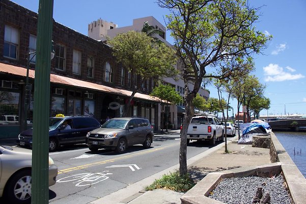 th IMG 3162 th IMG 3162