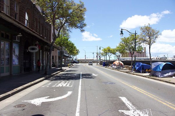 th IMG 3164 th IMG 3164