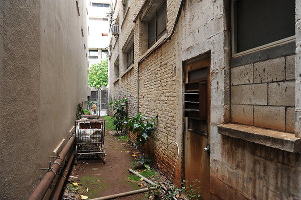 1028 Nuuanu Alley and Courtyard 1028 Nuuanu Alley and Courtyard
