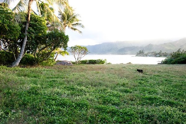 th LAIE MONTACOSTAHOME 2 th LAIE MONTACOSTAHOME 2