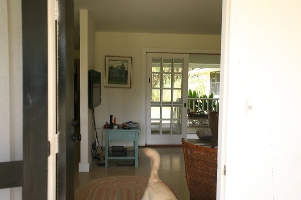 th LAIE WHITEPROPERTY6545 th LAIE WHITEPROPERTY6545