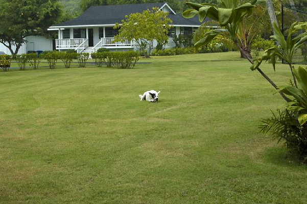 White Estate @ Pounders 080 White Estate @ Pounders 080