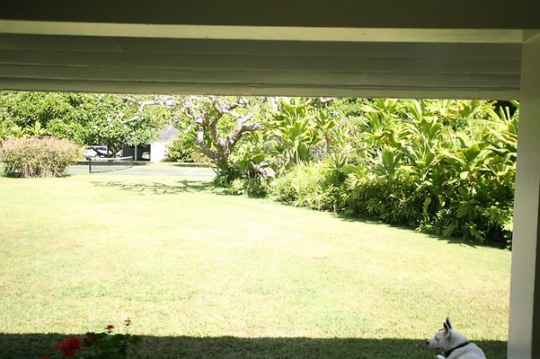 th LAIE WHITEPROPERTY6575 th LAIE WHITEPROPERTY6575