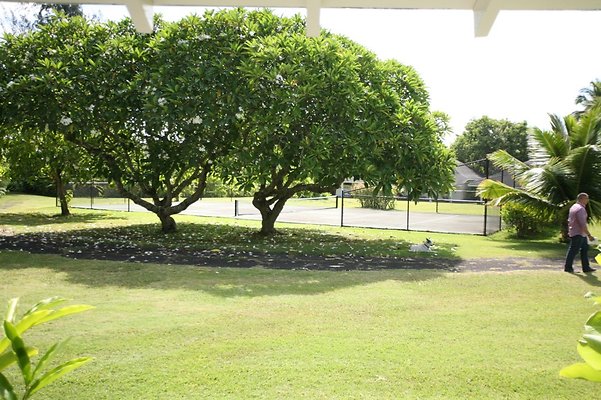 th LAIE WHITEPROPERTY6582 th LAIE WHITEPROPERTY6582