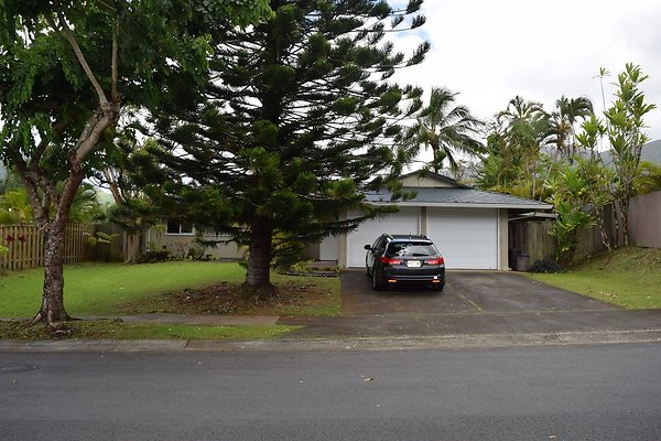 DSC 0400.5 DSC 0400.5