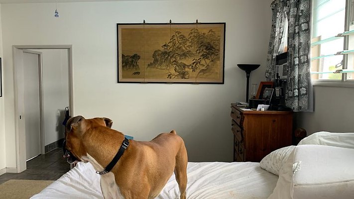 th IMG 4553 th IMG 4553