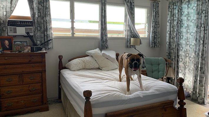 th IMG 4551 th IMG 4551