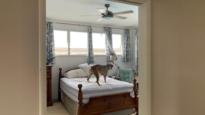 th IMG 4549 th IMG 4549