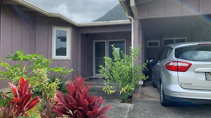 th IMG 4517 th IMG 4517