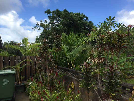 HI50 S6 2015-08-06 15.43.51