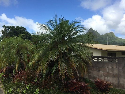 HI50 S6 2015-08-06 15.43.11