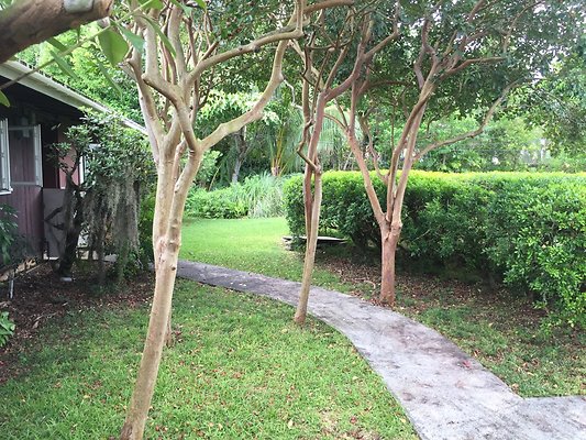 HI50 S6 2015-08-06 13.59.59