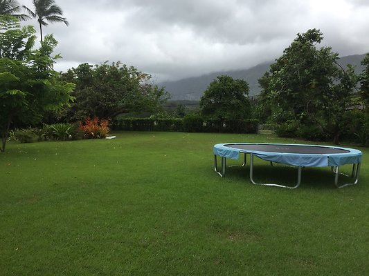 HI50 S6 2015-08-06 14.05.10