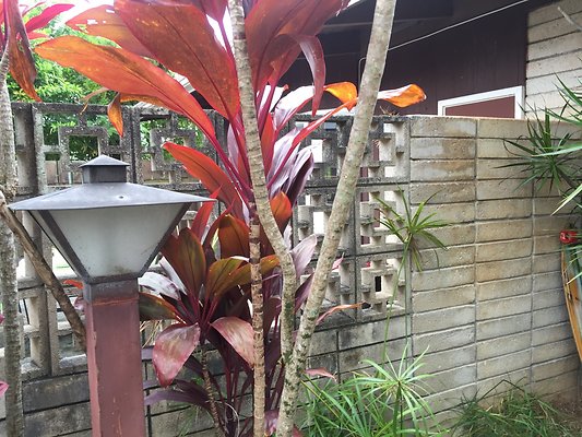 HI50 S6 2015-08-06 14.02.22