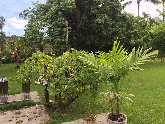 HI50 S6 2015-08-06 14.05.07