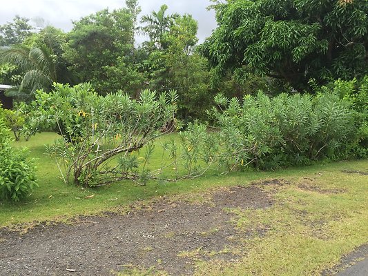 HI50 S6 2015-08-06 13.58.53