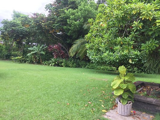 HI50 S6 2015-08-06 14.05.14