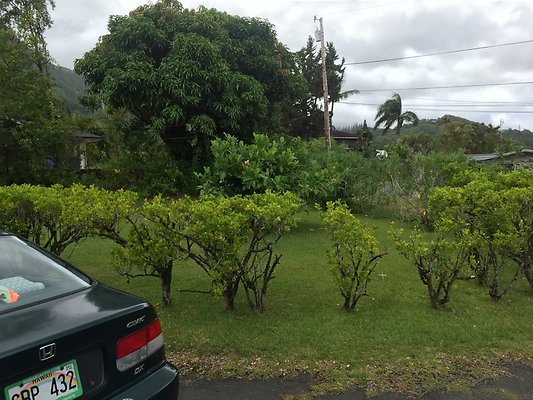 HI50 S6 2015-08-06 13.59.16