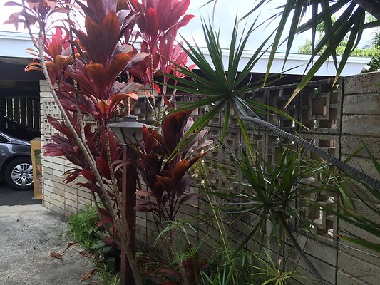 HI50 S6 2015-08-06 14.02.46