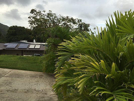 HI50 S6 2015-08-07 17.52.40