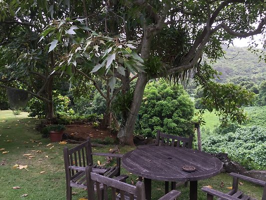 HI50 S6 2015-08-07 17.36.29 HI50 S6 2015-08-07 17.36.29