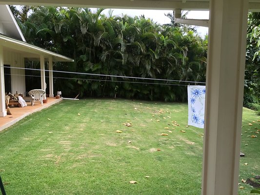 HI50 S6 2015-08-07 17.37.03 HI50 S6 2015-08-07 17.37.03