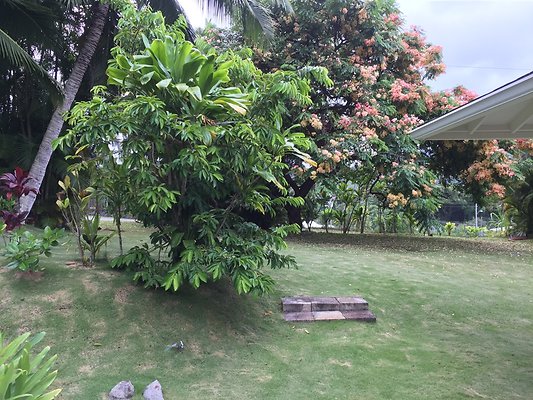 HI50 S6 2015-08-07 17.29.35 HI50 S6 2015-08-07 17.29.35