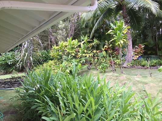 HI50 S6 2015-08-07 17.29.32 HI50 S6 2015-08-07 17.29.32