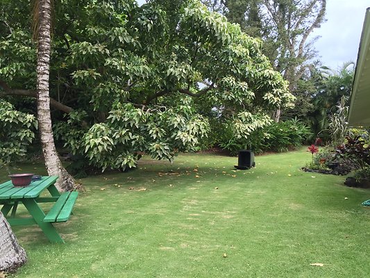 HI50 S6 2015-08-07 17.36.09 HI50 S6 2015-08-07 17.36.09