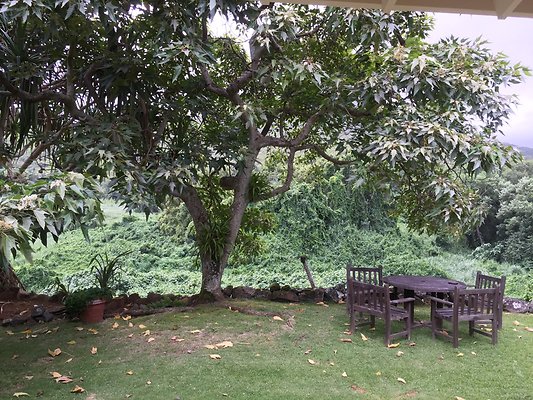 HI50 S6 2015-08-07 17.35.48 HI50 S6 2015-08-07 17.35.48